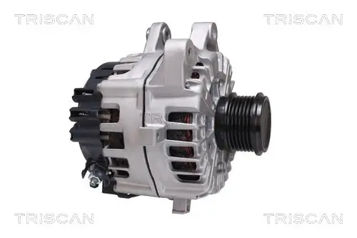 Generator 14 V TRISCAN 8310 16021 Bild Generator 14 V TRISCAN 8310 16021