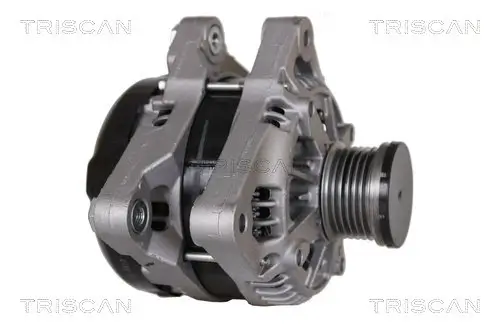 Generator 14 V TRISCAN 8310 16029 Bild Generator 14 V TRISCAN 8310 16029