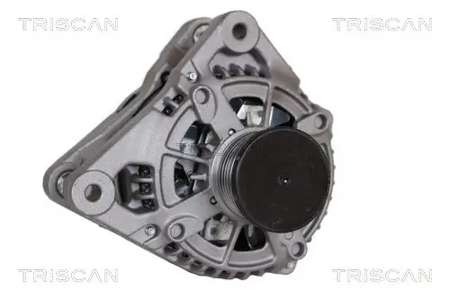 Generator 14 V TRISCAN 8310 16029 Bild Generator 14 V TRISCAN 8310 16029