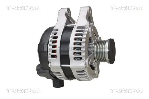 Generator 14 V TRISCAN 8310 16031 Bild Generator 14 V TRISCAN 8310 16031