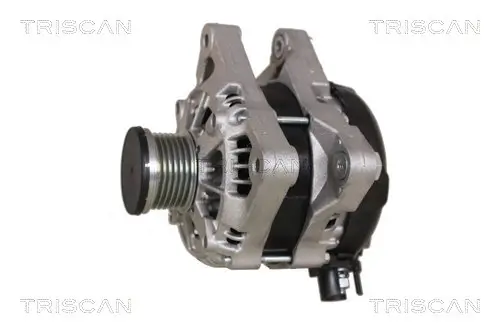 Generator 14 V TRISCAN 8310 16033 Bild Generator 14 V TRISCAN 8310 16033