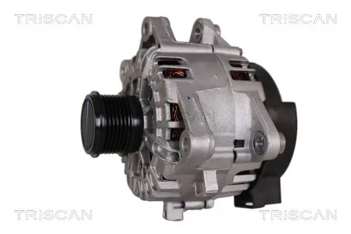 Generator 12 V TRISCAN 8310 16034 Bild Generator 12 V TRISCAN 8310 16034