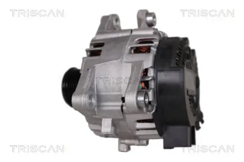 Generator 12 V TRISCAN 8310 16034 Bild Generator 12 V TRISCAN 8310 16034