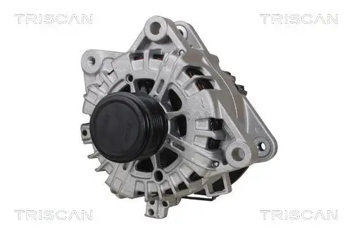Generator 14 V TRISCAN 8310 16036