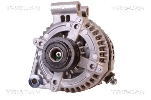 Generator 14 V TRISCAN 8310 17003