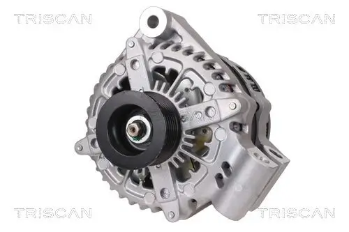 Generator 14 V TRISCAN 8310 17004