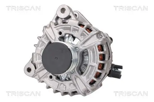Generator 14 V TRISCAN 8310 17005