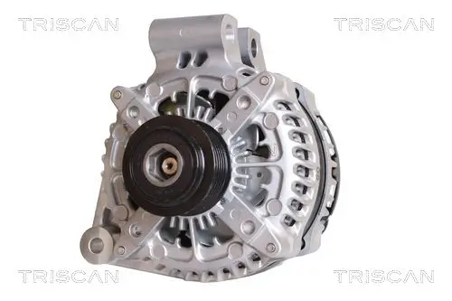 Generator 14 V TRISCAN 8310 17006