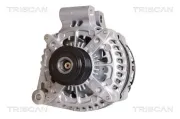 Generator 14 V TRISCAN 8310 17006