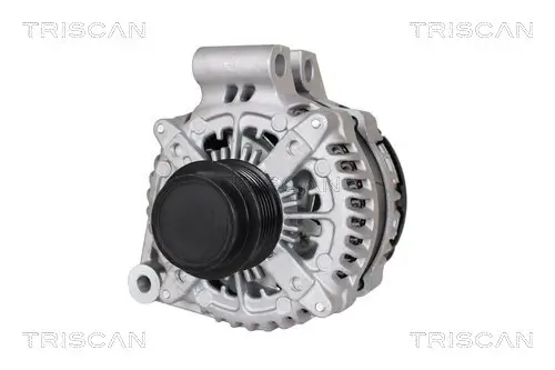 Generator 14 V TRISCAN 8310 17007 Bild Generator 14 V TRISCAN 8310 17007