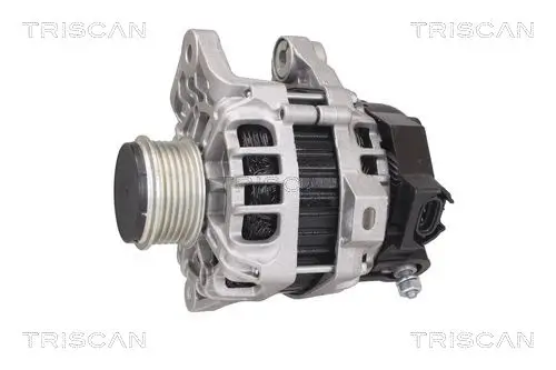 Generator 14 V TRISCAN 8310 18001 Bild Generator 14 V TRISCAN 8310 18001