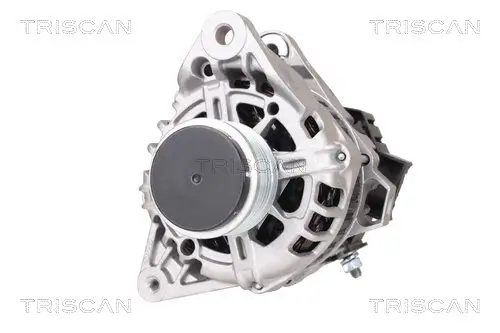 Generator 14 V TRISCAN 8310 18002