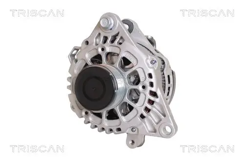 Generator 14 V TRISCAN 8310 18003