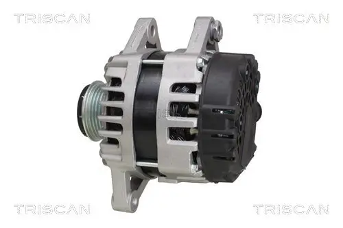 Generator 14 V TRISCAN 8310 18004 Bild Generator 14 V TRISCAN 8310 18004