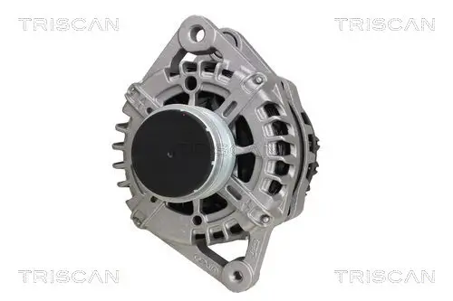 Generator 14 V TRISCAN 8310 18004 Bild Generator 14 V TRISCAN 8310 18004