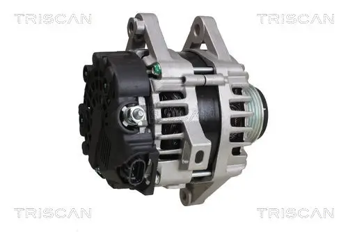 Generator 14 V TRISCAN 8310 18004 Bild Generator 14 V TRISCAN 8310 18004