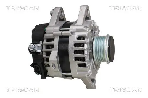 Generator 14 V TRISCAN 8310 18004 Bild Generator 14 V TRISCAN 8310 18004