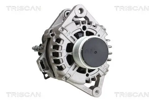 Generator 14 V TRISCAN 8310 18004 Bild Generator 14 V TRISCAN 8310 18004