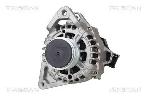 Generator 14 V TRISCAN 8310 18005