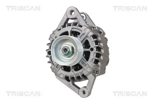 Generator 14 V TRISCAN 8310 18006