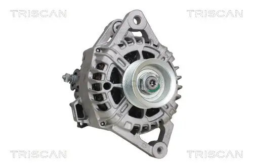 Generator 14 V TRISCAN 8310 18006 Bild Generator 14 V TRISCAN 8310 18006