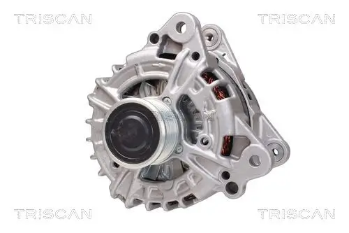 Generator 14 V TRISCAN 8310 20001