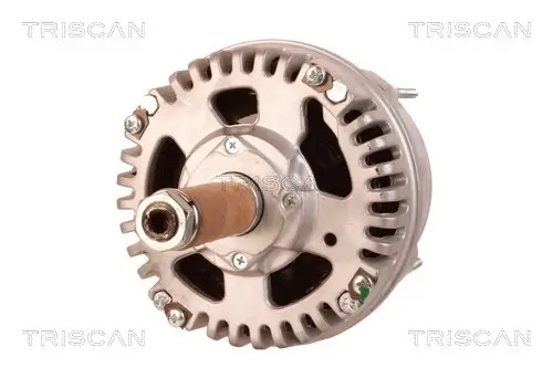 Generator 12 V TRISCAN 8310 20002