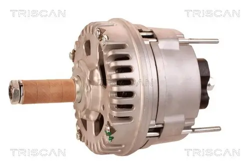 Generator 12 V TRISCAN 8310 20002 Bild Generator 12 V TRISCAN 8310 20002