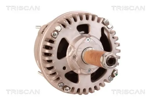 Generator 12 V TRISCAN 8310 20002 Bild Generator 12 V TRISCAN 8310 20002