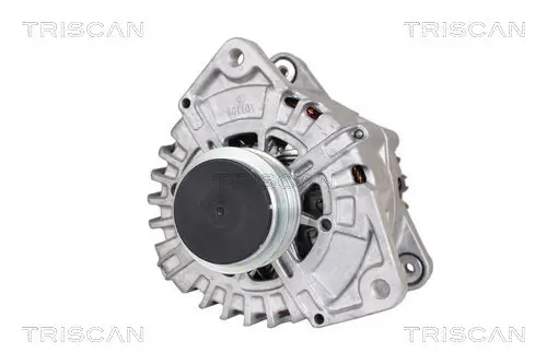 Generator 14 V TRISCAN 8310 23012