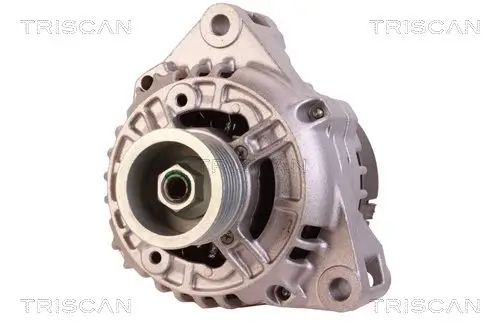 Generator 12 V TRISCAN 8310 23018