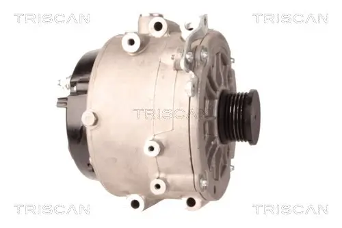 Generator 12 V TRISCAN 8310 23019 Bild Generator 12 V TRISCAN 8310 23019