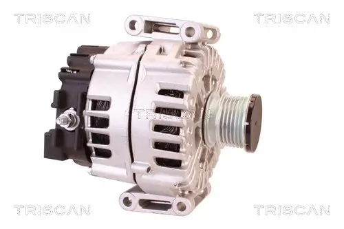 Generator 14 V TRISCAN 8310 23031 Bild Generator 14 V TRISCAN 8310 23031