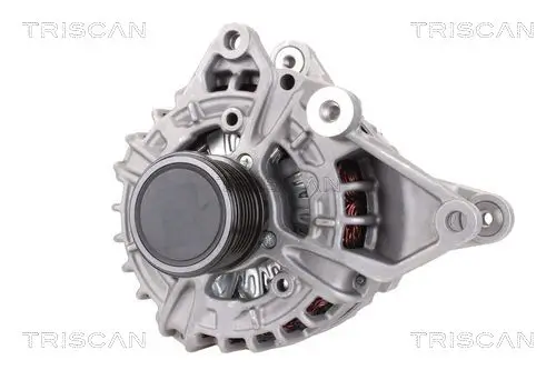 Generator 12 V TRISCAN 8310 23041