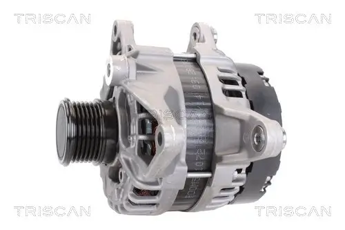 Generator 12 V TRISCAN 8310 23041 Bild Generator 12 V TRISCAN 8310 23041