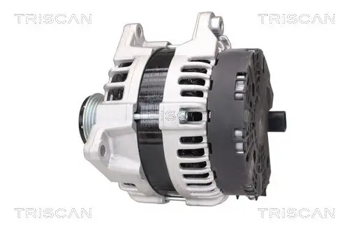 Generator 14 V TRISCAN 8310 23043 Bild Generator 14 V TRISCAN 8310 23043