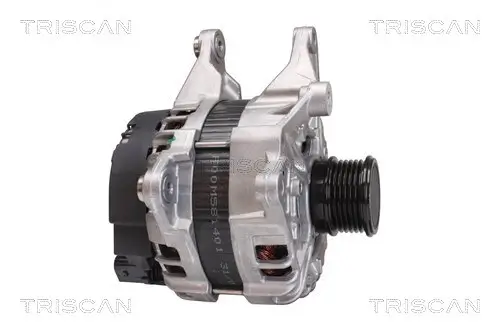 Generator 14 V TRISCAN 8310 23046 Bild Generator 14 V TRISCAN 8310 23046