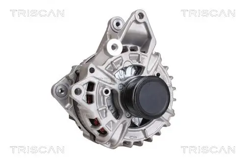 Generator 14 V TRISCAN 8310 23046 Bild Generator 14 V TRISCAN 8310 23046