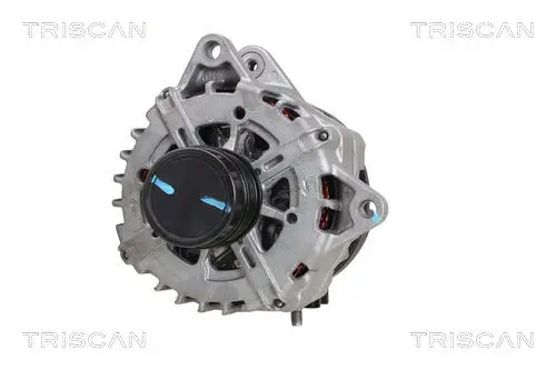 Generator 14 V TRISCAN 8310 23054 Bild Generator 14 V TRISCAN 8310 23054