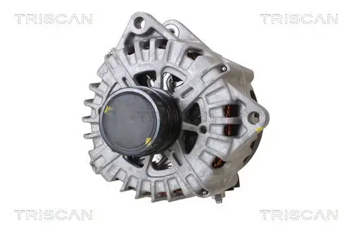 Generator 14 V TRISCAN 8310 23055