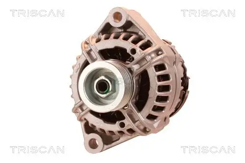 Generator 14 V TRISCAN 8310 23057
