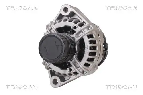 Generator 14 V TRISCAN 8310 23058