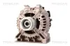 Generator 14 V TRISCAN 8310 23061