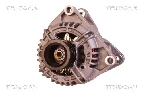 Generator 14 V TRISCAN 8310 24013