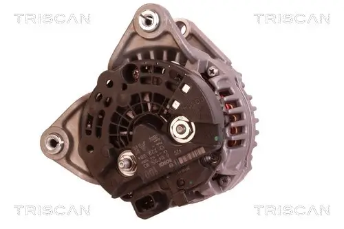 Generator 14 V TRISCAN 8310 24013 Bild Generator 14 V TRISCAN 8310 24013