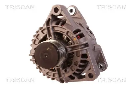 Generator 14 V TRISCAN 8310 24014