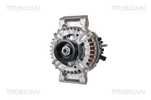 Generator 14 V TRISCAN 8310 24017