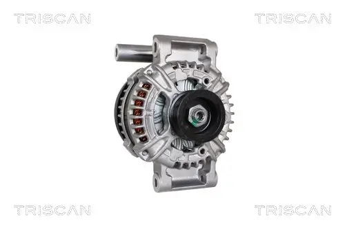 Generator 14 V TRISCAN 8310 24017 Bild Generator 14 V TRISCAN 8310 24017