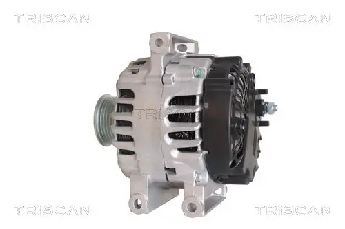 Generator 14 V TRISCAN 8310 24019 Bild Generator 14 V TRISCAN 8310 24019