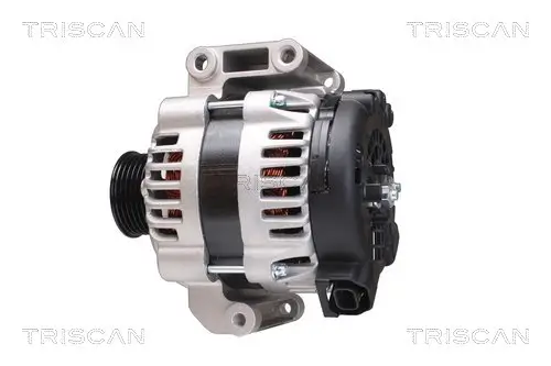 Generator 14 V TRISCAN 8310 24020 Bild Generator 14 V TRISCAN 8310 24020